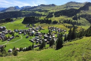 Dagstur fra Zürich: Den bratteste taubanen til Stoos og utsikten fra Rigi