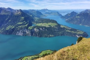 Dagstur fra Zürich: Den bratteste taubanen til Stoos og utsikten fra Rigi