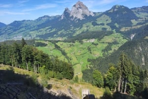 Dagstur fra Zürich: Den bratteste taubanen til Stoos og utsikten fra Rigi
