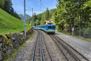 Dagstur fra Zürich: Den bratteste taubanen til Stoos og utsikten fra Rigi