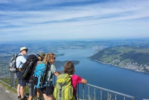 Dagstur fra Zürich: Den bratteste taubanen til Stoos og utsikten fra Rigi