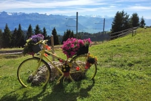 Dagstur fra Zürich: Den bratteste taubanen til Stoos og utsikten fra Rigi