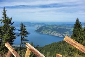 Dagstur fra Zürich: Den bratteste taubanen til Stoos og utsikten fra Rigi