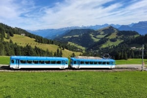 Dagstur fra Zürich: Den bratteste taubanen til Stoos og utsikten fra Rigi