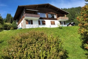 Dagstur fra Zürich: Den bratteste taubanen til Stoos og utsikten fra Rigi