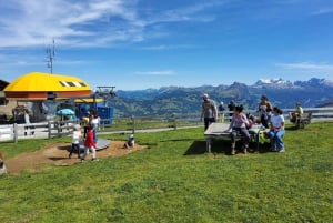 Dagstur fra Zürich: Den bratteste taubanen til Stoos og utsikten fra Rigi