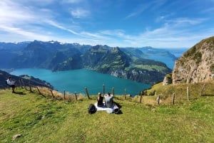 Dagstur fra Zürich: Den bratteste taubanen til Stoos og utsikten fra Rigi