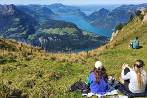 Dagstur fra Zürich: Den bratteste taubanen til Stoos og utsikten fra Rigi