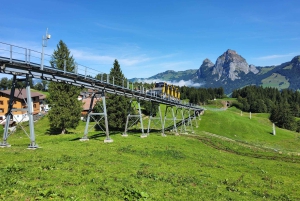 Dagstur fra Zürich: Den bratteste taubanen til Stoos og utsikten fra Rigi