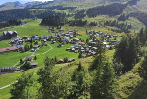 Dagstur fra Zürich: Den bratteste taubanen til Stoos og utsikten fra Rigi