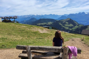 Dagstur fra Zürich: Den bratteste taubanen til Stoos og utsikten fra Rigi