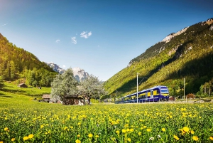 Zurich: Day Trip to Grindelwald & Interlaken by Bus & Train