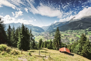 Zurich: Day Trip to Grindelwald & Interlaken by Bus & Train