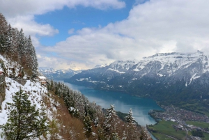 Zürich: Tagestour nach Grindelwald & Interlaken mit Fotoshooting