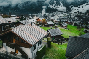 Zürich: Tagestour nach Grindelwald & Interlaken mit Fotoshooting