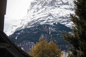 Zürich: Tagestour nach Grindelwald & Interlaken mit Fotoshooting
