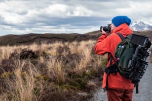 Zurigo: gita di 1 giorno a Grindelwald e Interlaken con servizio fotografico