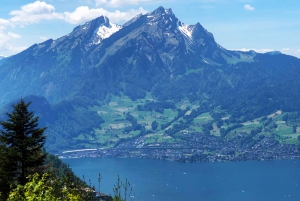 Zurich: Day trip to Lucerne and Bürgenstock