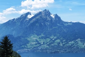 Zürich: Tagestour nach Luzern und Bürgenstock