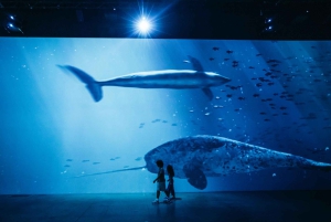 Zurigo: biglietto d'ingresso alla mostra immersiva «Titanic» nella Lichthalle Maag