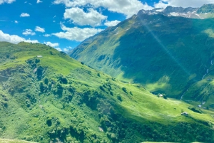 Zurique: Tour particular pelos Alpes Suíços e Lucerna com o Glacier Express