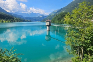 Zurich: Grindelwald,Lauterbrunnen Brienz Grupos pequeños