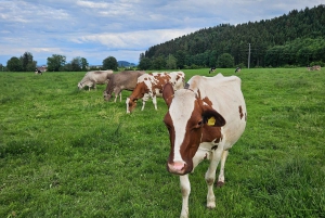 Zurich: Grindelwald,Lauterbrunnen Brienz Grupos pequeños