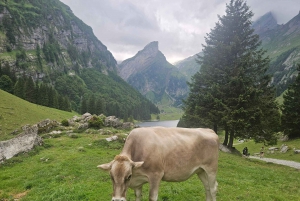 Zurich: Grindelwald,Lauterbrunnen Brienz Grupos pequeños