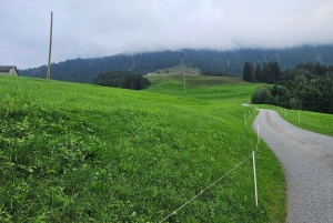 Zurich: Grindelwald,Lauterbrunnen Brienz Grupos pequeños