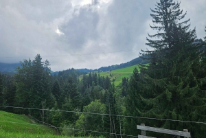 Zurich: Grindelwald,Lauterbrunnen Brienz Grupos pequeños