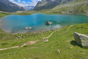 Zurich: Grindelwald,Lauterbrunnen Brienz Grupos pequeños