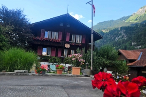 Zurich: Grindelwald,Lauterbrunnen Brienz Grupos pequeños