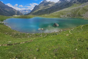 Zurich: Grindelwald,Lauterbrunnen Brienz Grupos pequeños