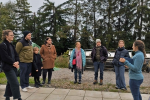 Zurich: Guided mushroom expedition and insights into the world of organic mushroom cultivation