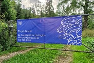 Zurich: Guided mushroom expedition and insights into the world of organic mushroom cultivation