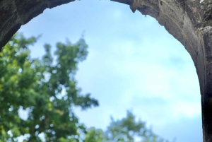 Цюрих: индивидуальная экскурсия на полдня в Рапперсвиль с местным экскурсоводом