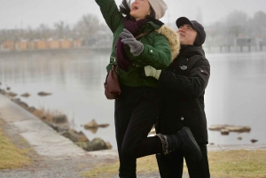 Цюрих: индивидуальная экскурсия на полдня в Рапперсвиль с местным экскурсоводом