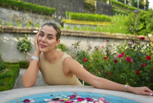 Цюрих: индивидуальная экскурсия на полдня в Рапперсвиль с местным экскурсоводом