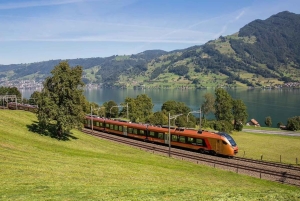 Zurich: Hardcore Swiss Train Tour–4 Scenic Railways in 1 day