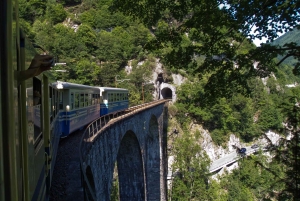Zurich: Hardcore Swiss Train Tour–4 Scenic Railways in 1 day