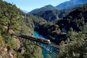 Zurich: Hardcore Swiss Train Tour–4 Scenic Railways in 1 day