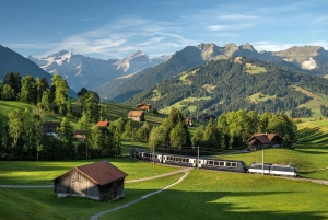 Zurich: Hardcore Swiss Train Tour–4 Scenic Railways in 1 day