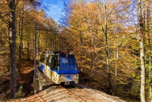 Zurich: Hardcore Swiss Train Tour–4 Scenic Railways in 1 day