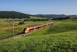 Zurich: Hardcore Swiss Train Tour–4 Scenic Railways in 1 day