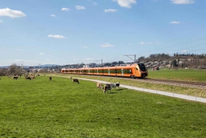 Zurich: Hardcore Swiss Train Tour–4 Scenic Railways in 1 day