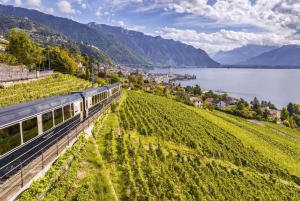 Zurich: Hardcore Swiss Train Tour–4 Scenic Railways in 1 day