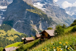 Vanuit Zürich: Interlaken en Grindelwald privé dagtour