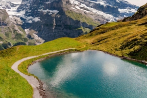 Vanuit Zürich: Interlaken en Grindelwald privé dagtour