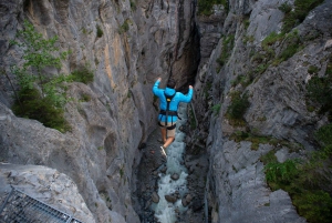 Zurich: Interlaken & Canyon Swing from Grindelwald day trip