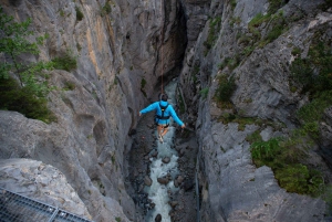 Zurich: Interlaken & Canyon Swing from Grindelwald day trip